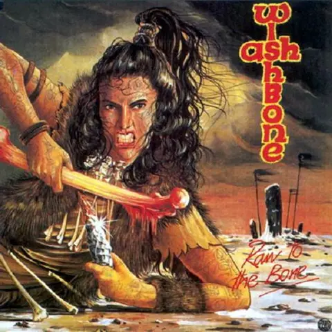 Wishbone Ash Raw To The Bone (LP) 