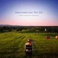 Mary Chapin Carpenter Sometimes Just The Sky (2LP)