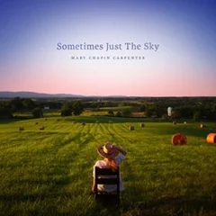 Mary Chapin Carpenter Sometimes Just The Sky (2LP)
