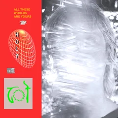 Holy All These Worlds Are Yours (2LP)