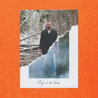 Justin Timberlake Man Of The Woods (2LP)