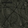 Captain Kill Born in the Heavy - LTD (LP)