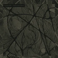 Captain Kill Born in the Heavy - LTD (LP)