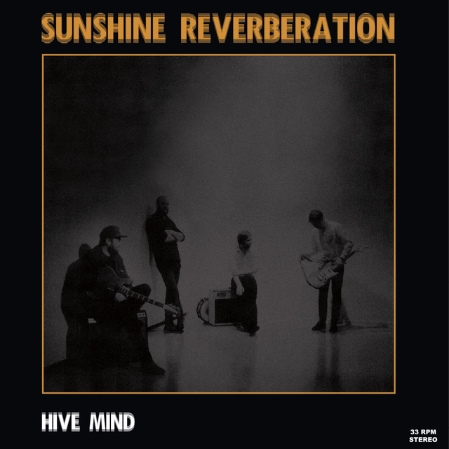 Sunshine Reverberation Hive Mind (LP) 