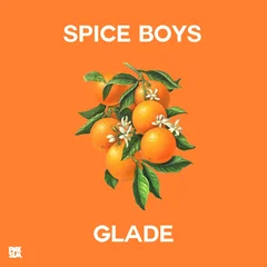 Spice Boys Glade (LP)