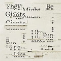 They Might Be Giants I Like Fun (LP)
