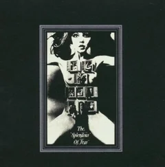 Felt Splendour Of Fear (LP)