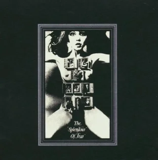 Felt Splendour Of Fear (LP)