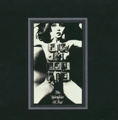 Felt Splendour Of Fear (LP) 