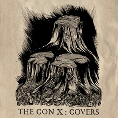 Diverse Artister / Tegan &amp; Sara Covers Con X: Covers (LP)