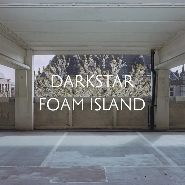 Darkstar Foam Island (LP) 