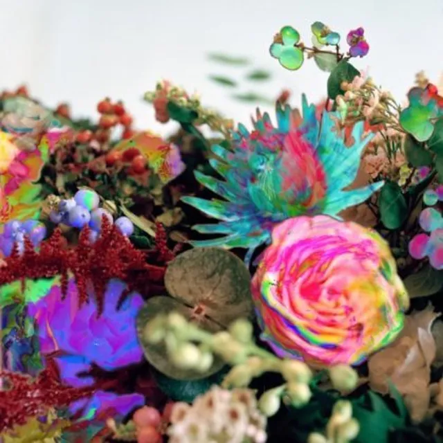 Darkstar News From Nowhere (2LP) 
