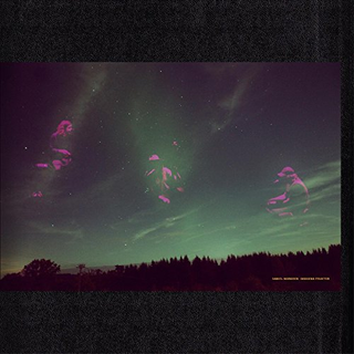 Daniel Norgren Skogens Frukter (LP)