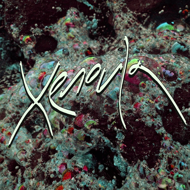 Xenoula Xenoula (LP) 