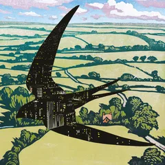 Bibio Sleep On The Wing (CD)