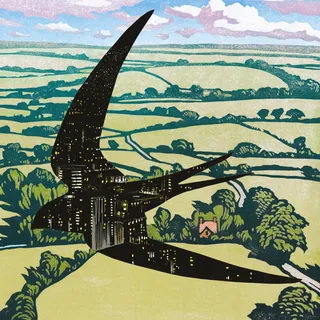 Bibio Sleep On The Wing (CD)