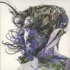 Bibio Ribbons (CD)