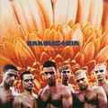 Rammstein Herzeleid - LTD (2LP)