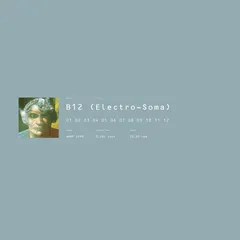 B12 Electro-Soma (2LP)
