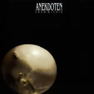 Anekdoten From Within (LP - LTD)