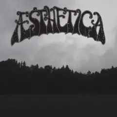 Æsthetica Sonorous Æon (LP)