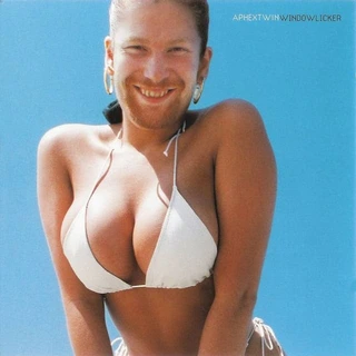 Aphex Twin Windowlicker (CD)