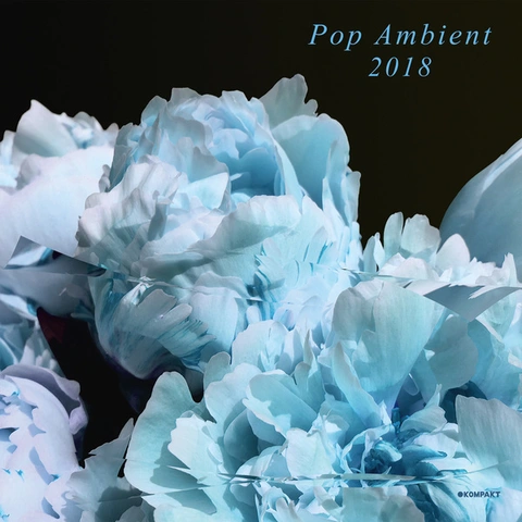Diverse artister Pop Ambient 2018 (LP) 