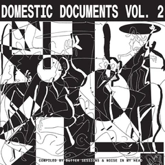 Diverse artister Domestic Documents Vol. 2 (2LP)