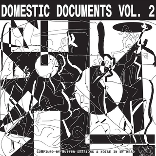 Diverse artister Domestic Documents Vol. 2 (2LP)