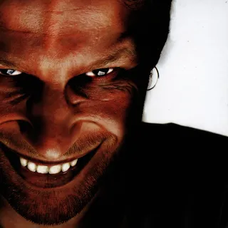 Aphex Twin Richard D. James Album (CD)