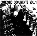 Diverse artister Domestic Documents Vol. 1 (2LP)