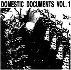 Diverse artister Domestic Documents Vol. 1 (2LP)