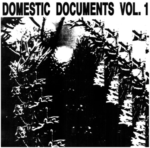 Diverse artister Domestic Documents Vol. 1 (2LP) 