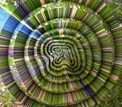 Aphex Twin Collapse EP (CD)