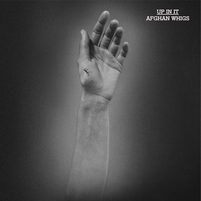 The Afghan Wigs Up In It (LP) 