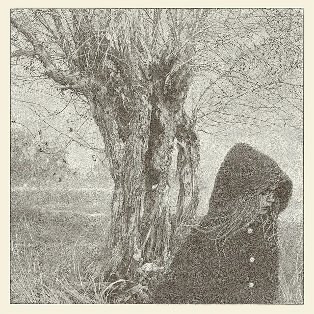 Lankum Between The Earth And Sky (LP) 