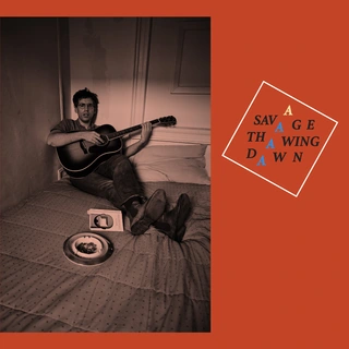 A. Savage (Parquet Courts) Thawing Dawn (LP)