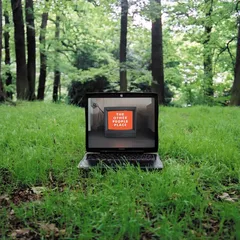 The Other People Place Lifestyles Of The Laptop Café (2LP)