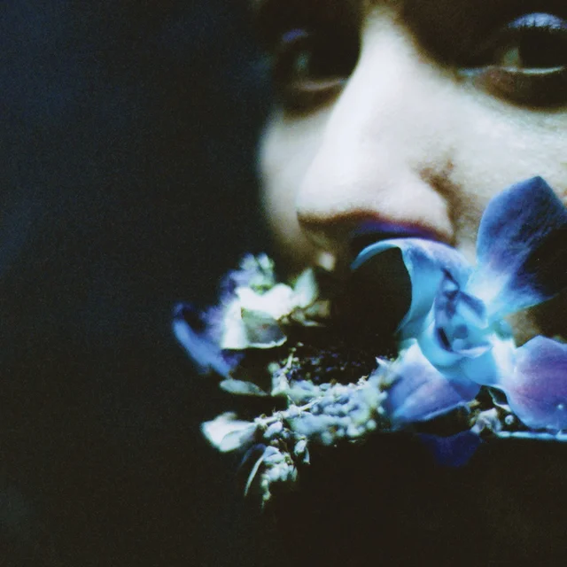Circuit Des Yeux Reaching For Indigo (LP) 