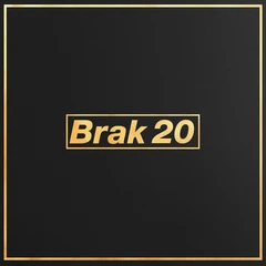 Diverse Artister Brak 20 (LP)
