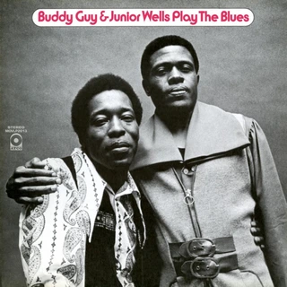 Buddy Guy &amp; Junior Wells Play The Blues (LP)