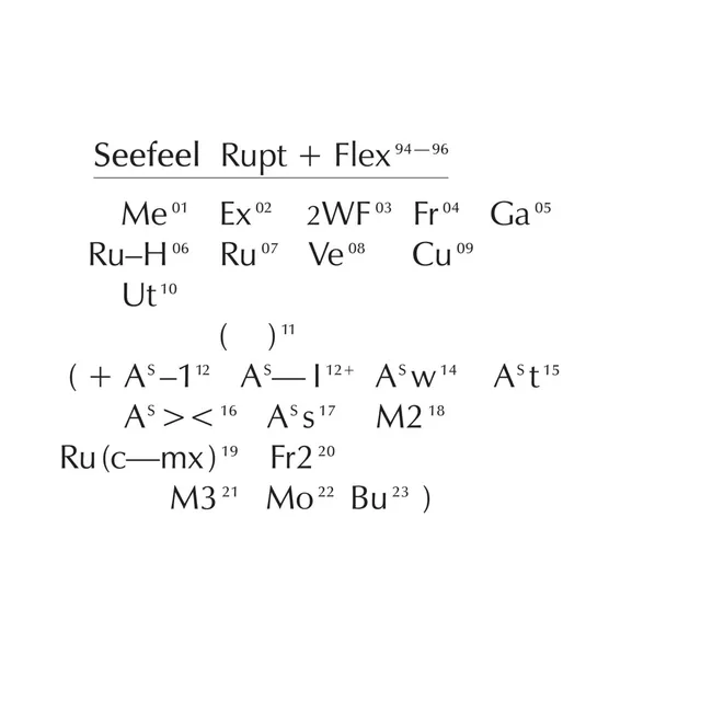 Seefeel Rupt and Flex (94-96) (4CD) 