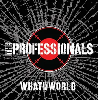 The Professionals What In The World (LP)