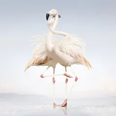 Rustie Green Language (2LP)