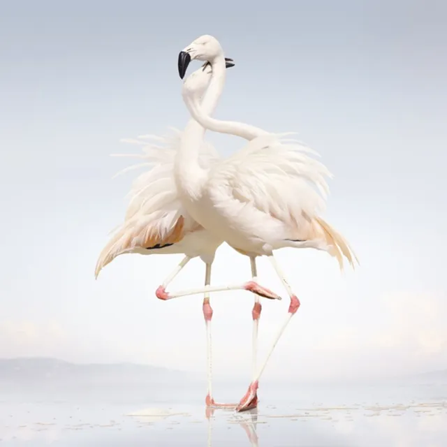 Rustie Green Language (2LP) 