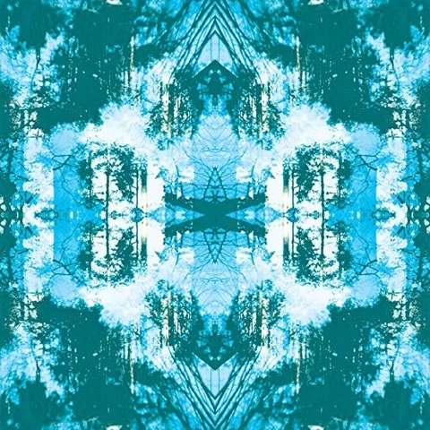 Tusks Dissolve - LTD (LP) 