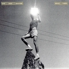 Mount Kimbie Love What Survives (2LP)