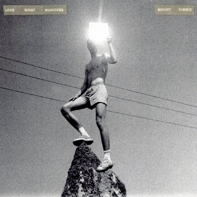 Mount Kimbie Love What Survives (2LP) 