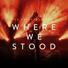 The Pineapple Thief Where We Stood (2LP)
