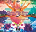 Acid Mothers Temple Those Who Came Never Before (LP)